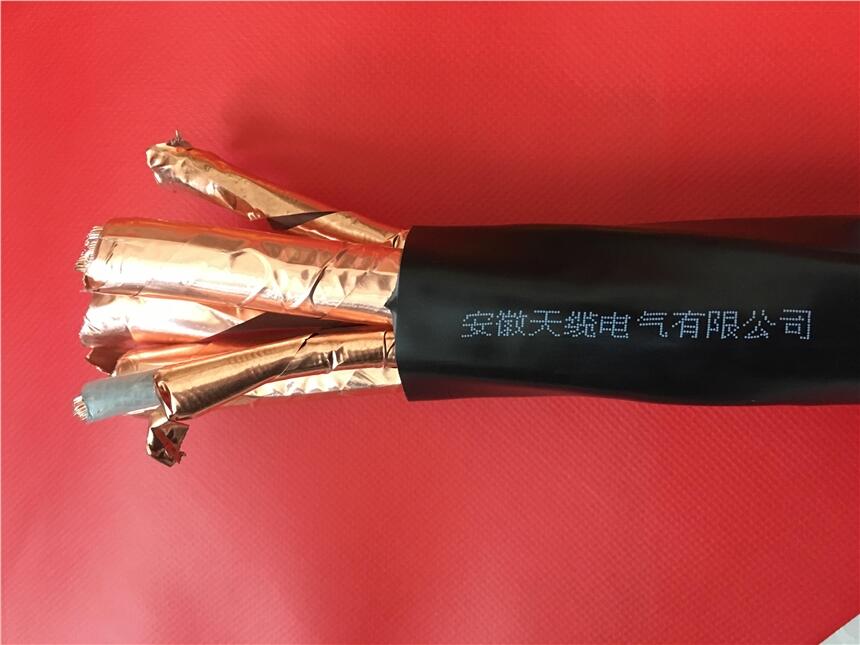 變頻專用電纜 (BPYJVP2、ZR-BPYJVP、BPGGPP2) 安徽天纜牌