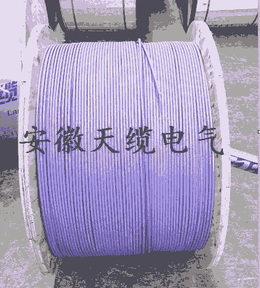 DP牌電纜雙層屏蔽DP電纜2*2*0.3安徽天纜電氣供應(yīng)