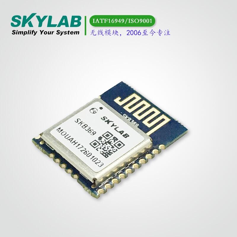 (yng)SKYLAB{(ln)4.2ģKSKB369