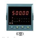 睙늱NHR-3100R-Z-0/2/D1/P0-A