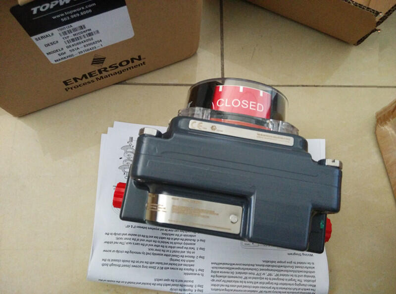 DXP-L2CGNEB DXP-L2CGNEB開關Topworx艾默生原廠