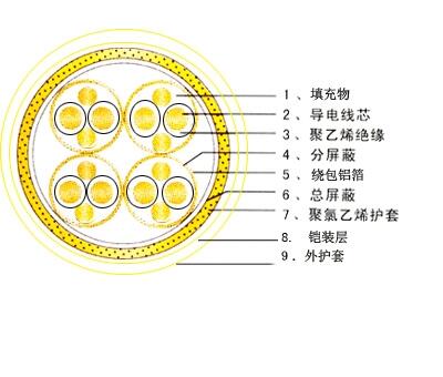 計算機屏蔽電纜-DJYPVP，DJYPV計算機屏蔽電纜-DJYPVP計算機屏蔽電纜-DJY