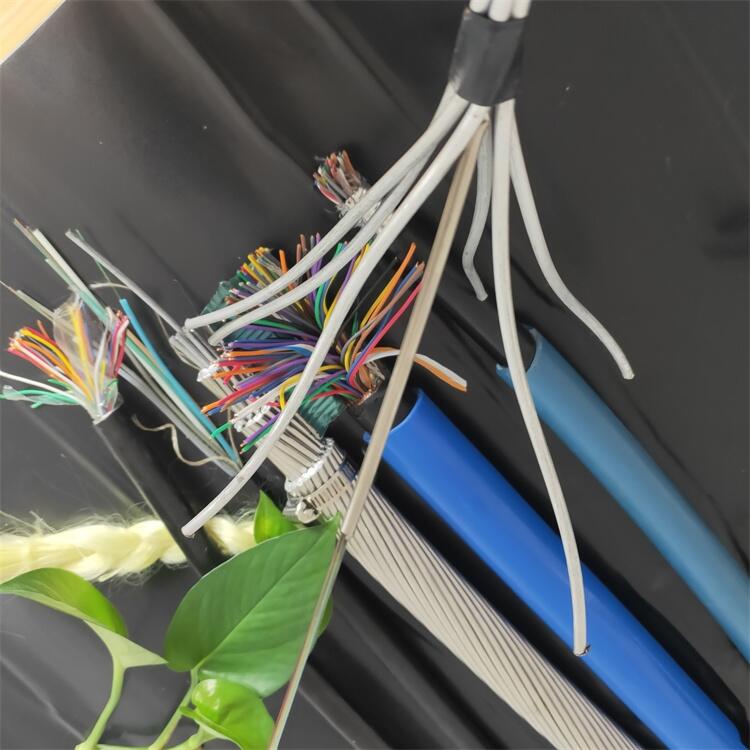 24оOPPC-24B1-110w(f)ྀ͸(bo)r(ji)