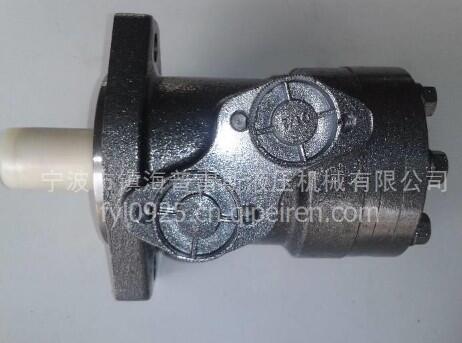 BMP-160ҺR_(d)