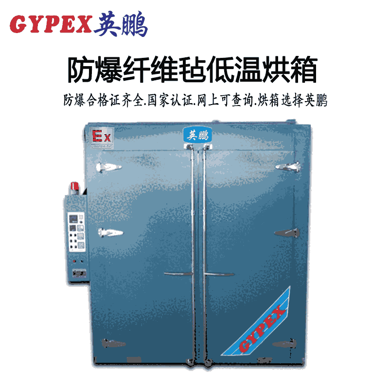 雙開門防爆低溫熱風循環(huán)烘箱