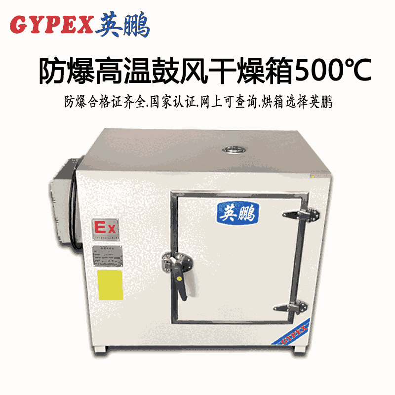 普江防爆高溫鼓風(fēng)干燥箱500℃
