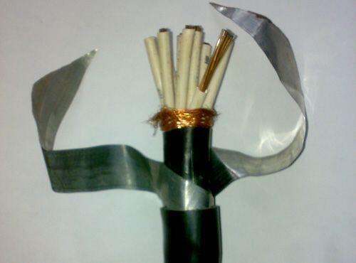 屏蔽控制電纜KVVP2