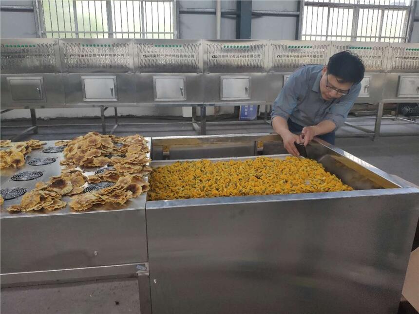 菊花茶微波干燥殺菌機(jī)