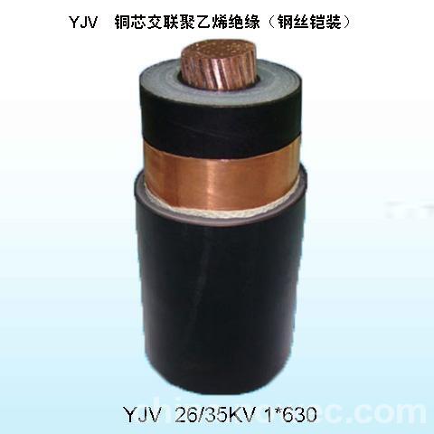 zryjv22 26/35kv 1*95 ߉|