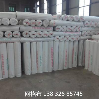 肥東縣優(yōu)質(zhì)外墻網(wǎng)格布廠家