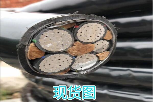 帶分支電纜MY型5=5根主纜阻燃型分支線(xiàn)