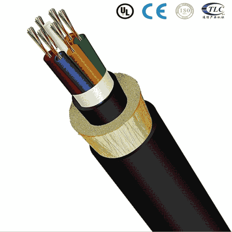 ǽ Գʽ| ADSS-24B1-100PE/ATo 24оܿչ|