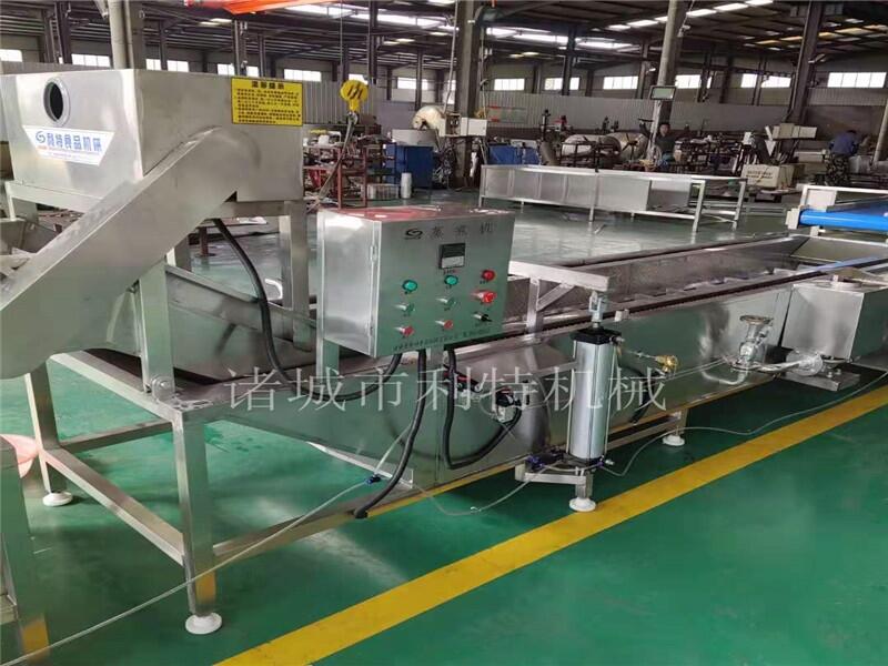 小型蔬菜漂燙機(jī)  香椿殺青漂燙機(jī)  果蔬預(yù)煮機(jī)器供貨商