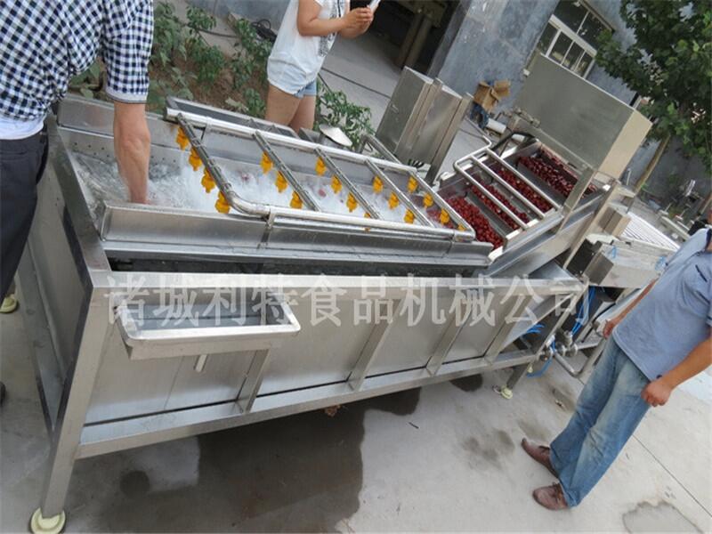 鼓泡式大棗清洗機 利特大棗風選機 大棗清洗加工線工藝先進