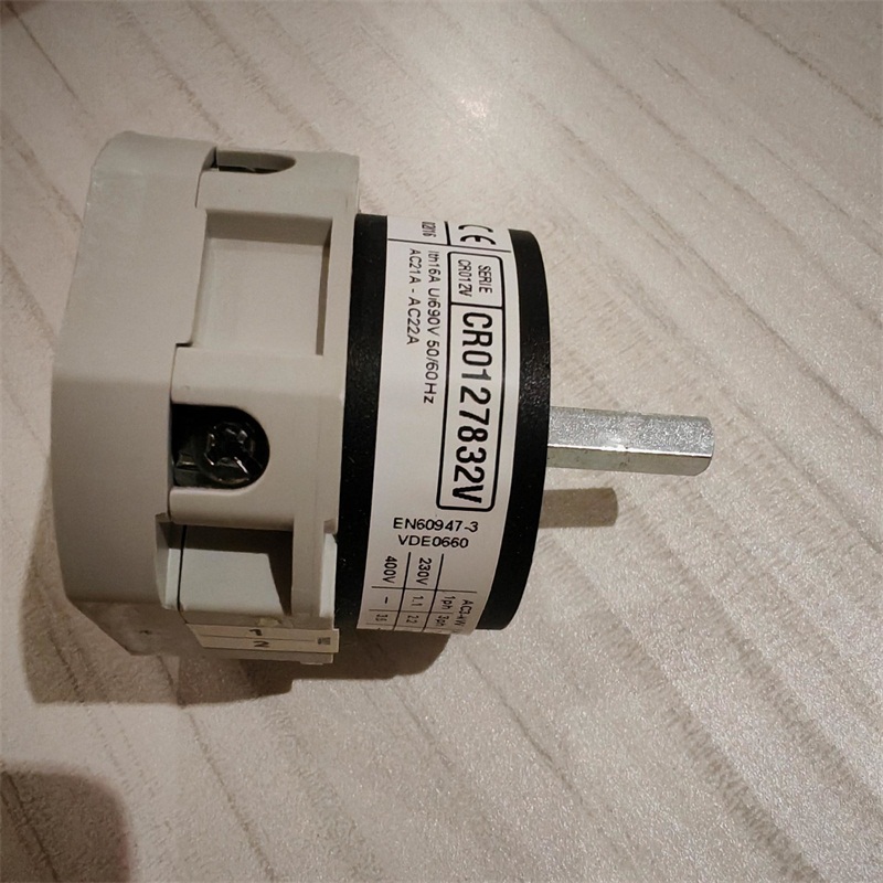 新品意大利BREMAS隔離開關(guān)