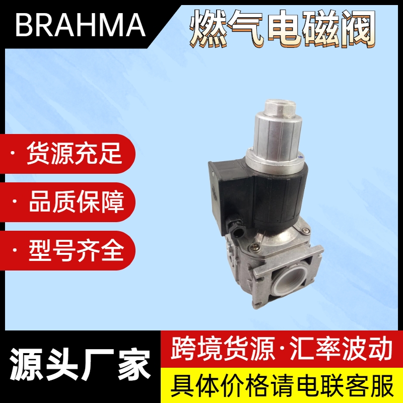 BRAHMAȼ?x)늴yEG30  ȼ