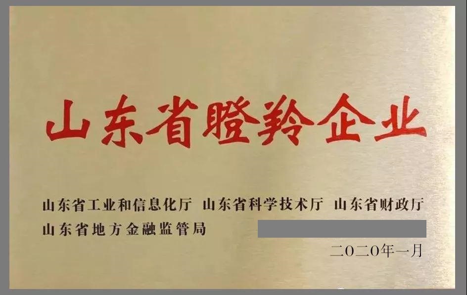 瞪羚企業(yè)認(rèn)定條件