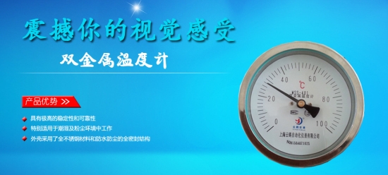 WSS-422雙金屬溫度計(jì)0-200℃L=650