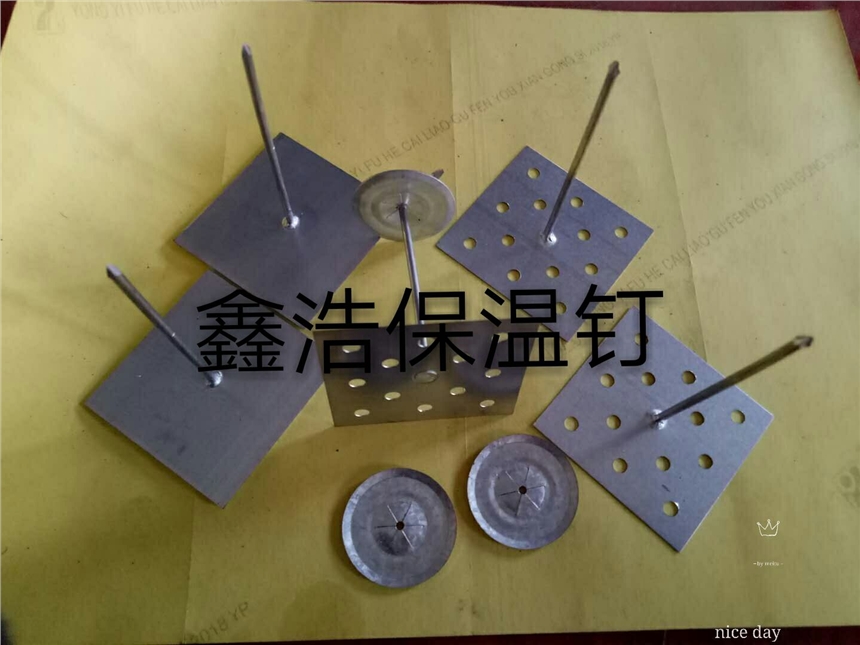 供應株洲市環(huán)保保溫釘 大城【鑫浩】保溫釘
