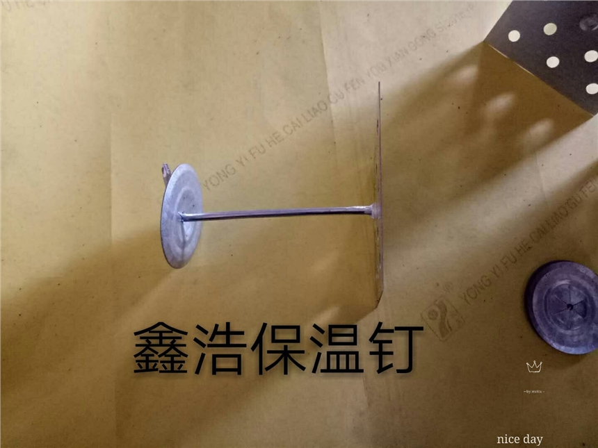 供應(yīng)武清區(qū)自粘保溫釘 大城【鑫浩】保溫釘