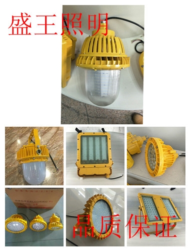 LFB-48-02̑B(ti)Soƽ_