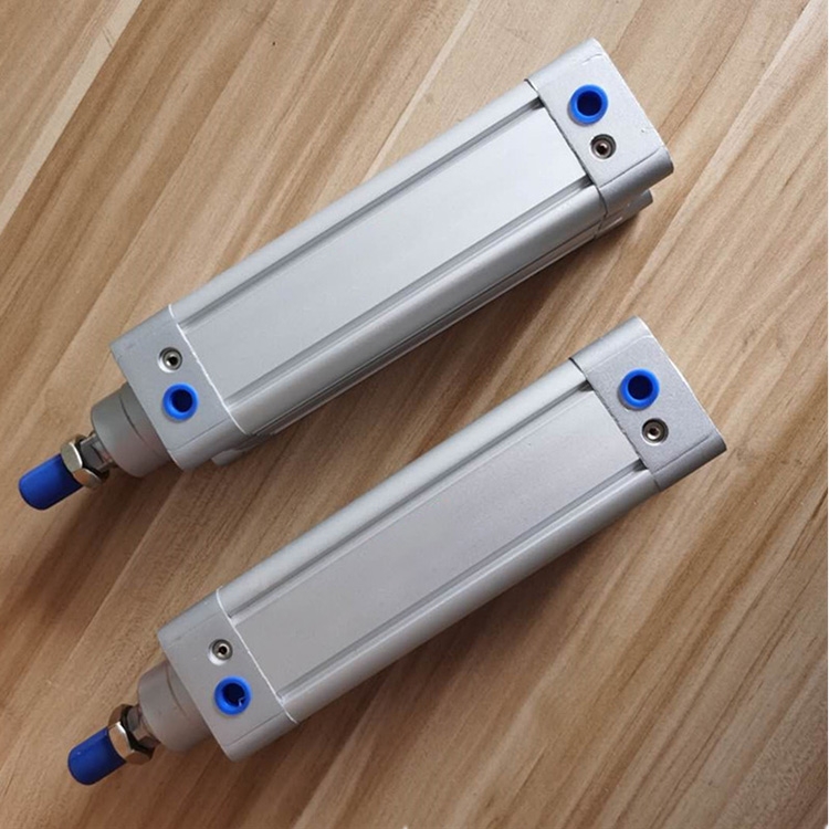 l(f)(yng)SNS CYLINDER (bio)(zhn)DNC40X450-PPV-Ab