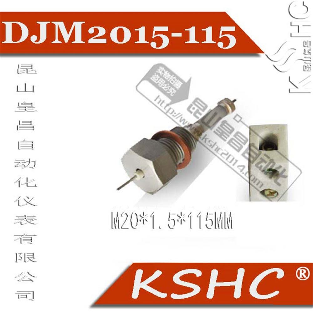 鍋爐電極型號DJY1712-115取樣筒絲牙電極