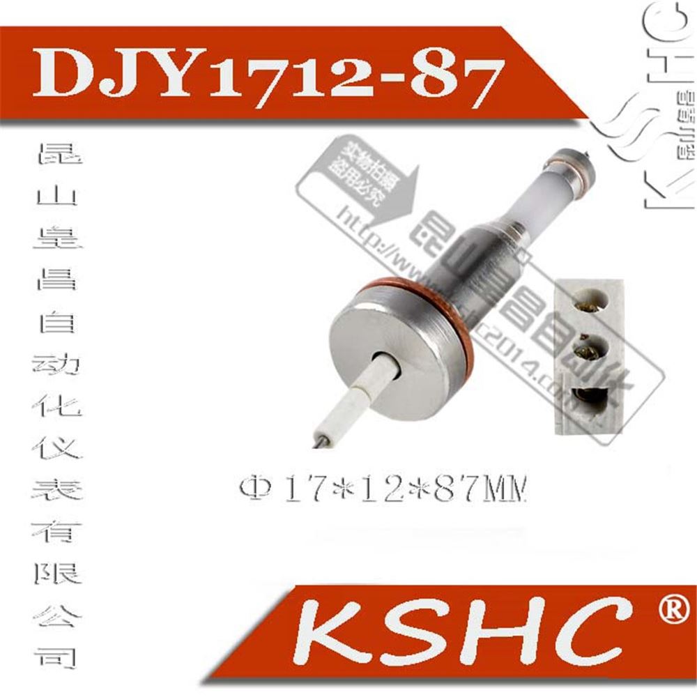 水位電極規(guī)格M20×2.0×87mmDSW-1水位電極