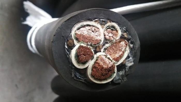 天康礦用電纜【洲鴿牌】找哪家/蒲城縣