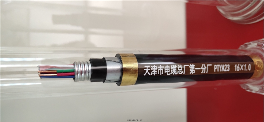 天津天聯(lián)牌HAVP-13*32/0.15 +4*48/0.2擴(kuò)音對(duì)講電纜生產(chǎn)廠家