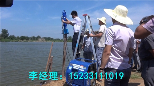 河北五星抗洪汽油打樁機，堤壩搶險打樁機