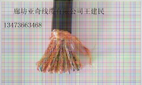 HYA22-600*2*0.5(du)(sh)pg(sh)(j)|S҃(yu)݃r(ji)