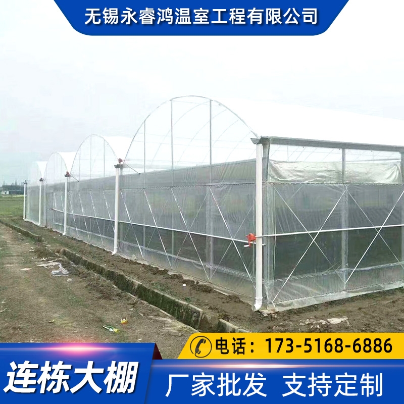 插地大棚大棚造價規(guī)格齊全