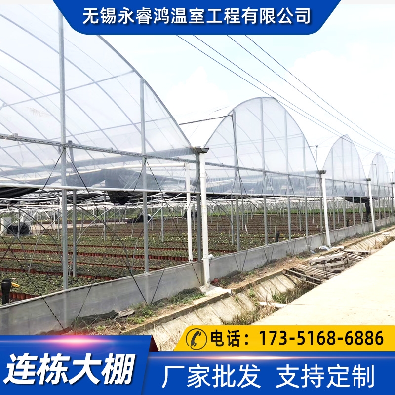 放心優(yōu)選日光連棟溫室大棚造價