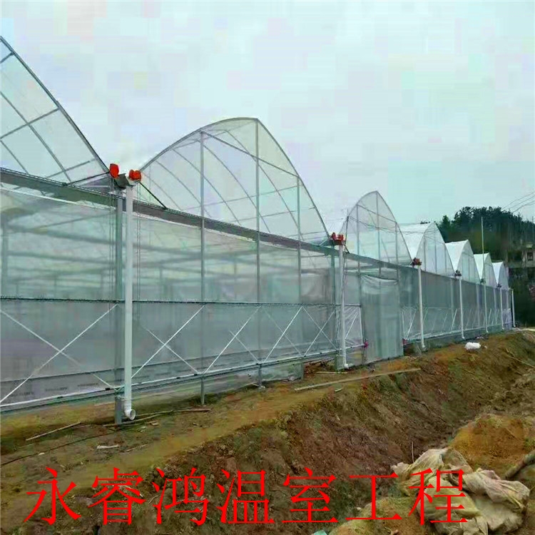 l(f)̶ BҴS 24Сrᾀ