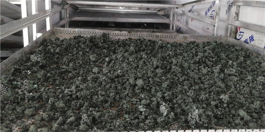 真正的節(jié)能機械中的王者電鍍污泥烘干房