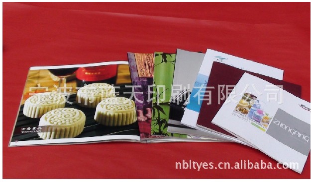 寧波樣本印刷 畫(huà)冊(cè)/說(shuō)明書(shū)/吊牌/手提袋廠家直銷(xiāo)