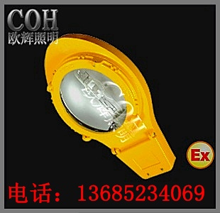 江蘇【BLC8610】防爆道路燈特價(jià)銷(xiāo)售歡迎致電
