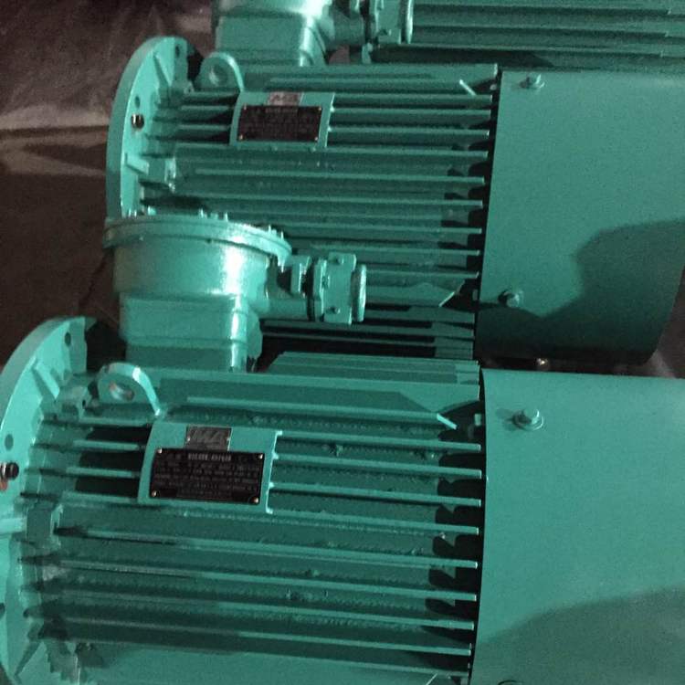 YB2高壓防爆電機(jī) 甘肅高效CT4防爆電機(jī)