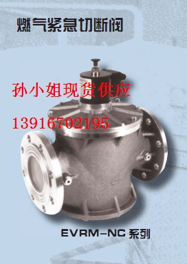 專營(yíng)代理意萊克斯EVRM-NC燃?xì)饩o切斷閥
