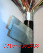 ZR-DJYVP22阻燃鎧裝屏蔽電纜