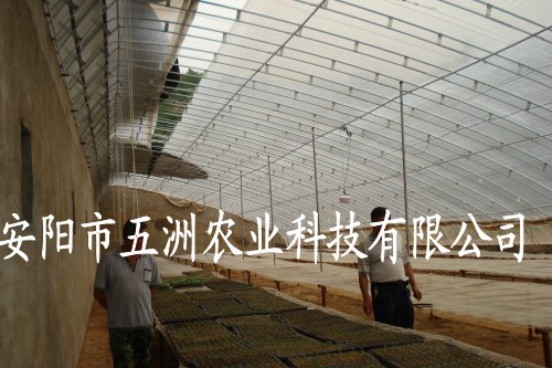䓹ܴǼܙC(j) 