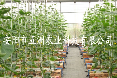 䓹ܴǼܙC(j) Ҵ﹤̹ǼܙC(j)