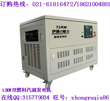 汽油發(fā)電機|12kw雙燃料汽油發(fā)電機型號YT12REG