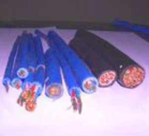 F·̖| PTYA23ϵF·̖| PTYA23ϵ