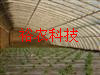 ͟o(w)֧ǼܙC(j)