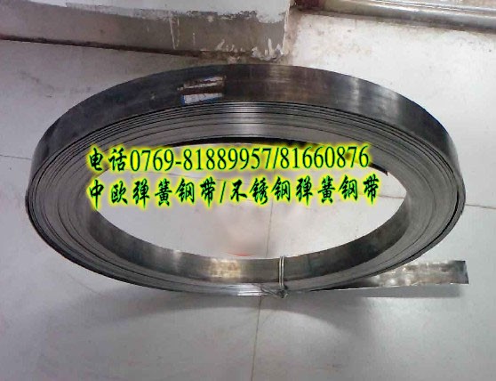 60Si2Mn l(f)Mڏ SUP10g