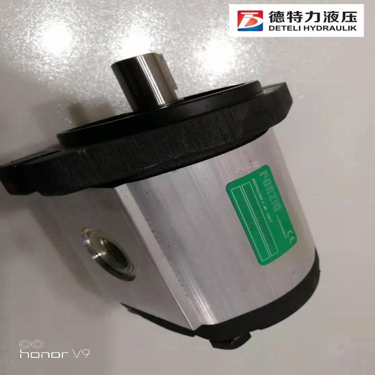 意大利RONZIO齒輪泵01ZCG21N600羅茨單聯(lián)泵、多聯(lián)泵供應