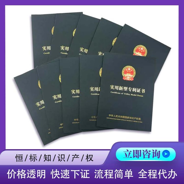 實用新型專利代理知識產(chǎn)權(quán)服務(wù)專業(yè)團隊下證迅速
