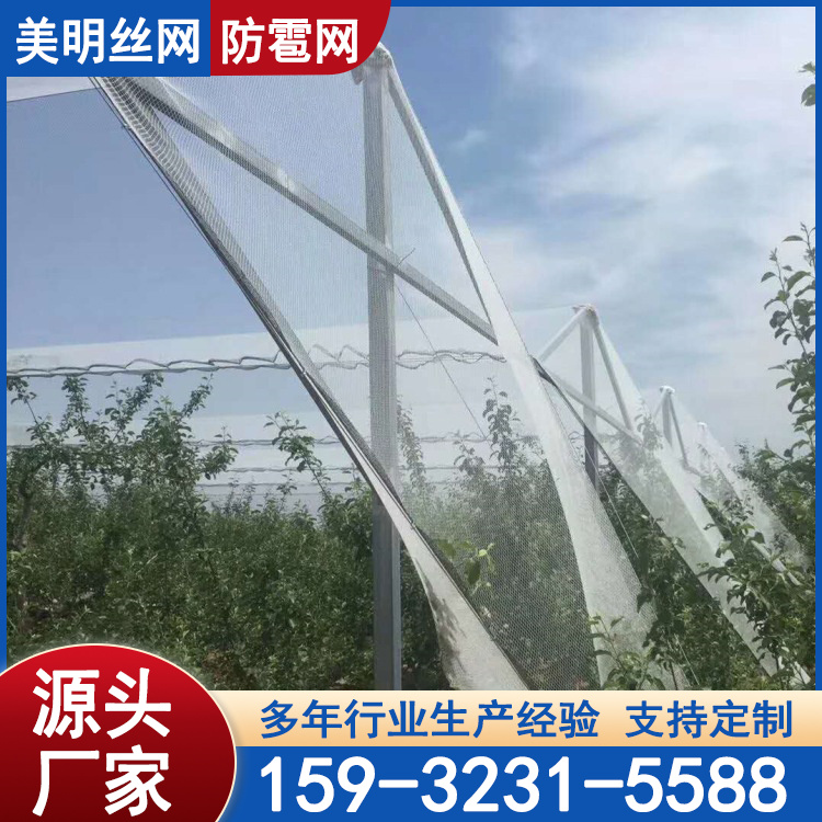 (sh)W(wng)(zi)W(wng)ѿՕo(h)W(wng)F(xin)؛l(f)